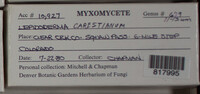 Image Associated With the Occurence